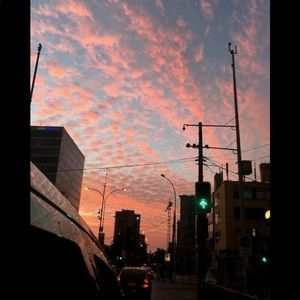 Meet your Posher, Riley